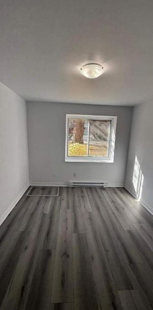 2 CH - 1 SDB - Montréal - $1,210 /mo - Photo 1