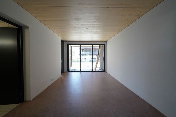 Atelier-Wohnung im suburbanen Schweighofquartier - Photo 1