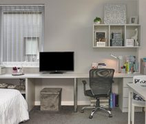 Premium Plus Studio - Photo 5