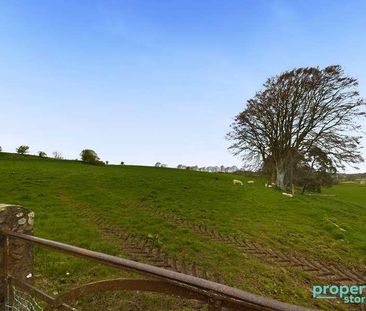 Netherside Cottage, Lesmahagow Road, Strathaven, South Lanarkshire,... - Photo 6