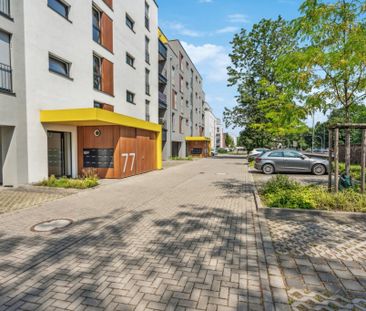 Moderne 2-Zimmer-Wohnung im Neuenhof Quartett - Photo 3