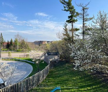 For Lease - 38 Kimberly Court Unit# Basement, Richmond Hill, Ontario - Photo 5