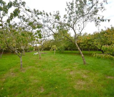 4 bedroom detached house to rent - Photo 2