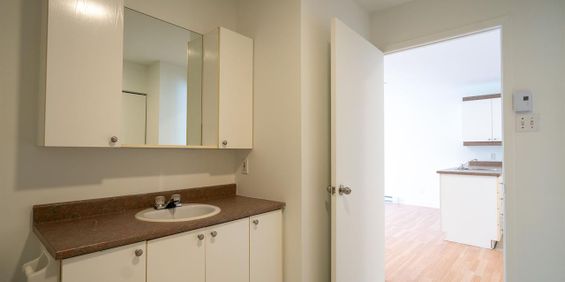 1 CH - 1 SDB - Saint-Charles-Borromée - $916 /mo - Photo 3