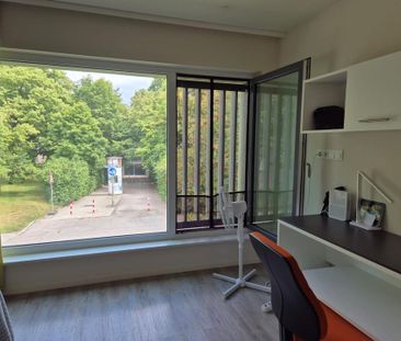 Studentenapartment in Freimann - Photo 6
