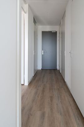 Te huur: Appartement Jan Luykenlaan 46 in Harderwijk - Photo 1