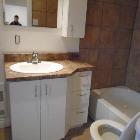 5 ½ rue Dufresne et Maisonneuve Montréal - Photo 3