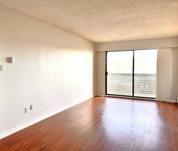 Bright 2 bedroom apartment with patio - Photo 2