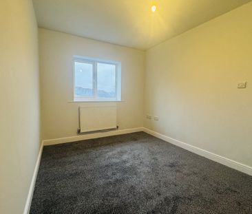 Platt Court - Photo 3