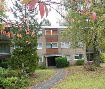 3 bedroom apartment to rent - Photo 4