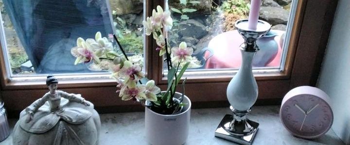 Suche einen Nachmieter für meine schöne Wohnung in Heinebach - Foto 1