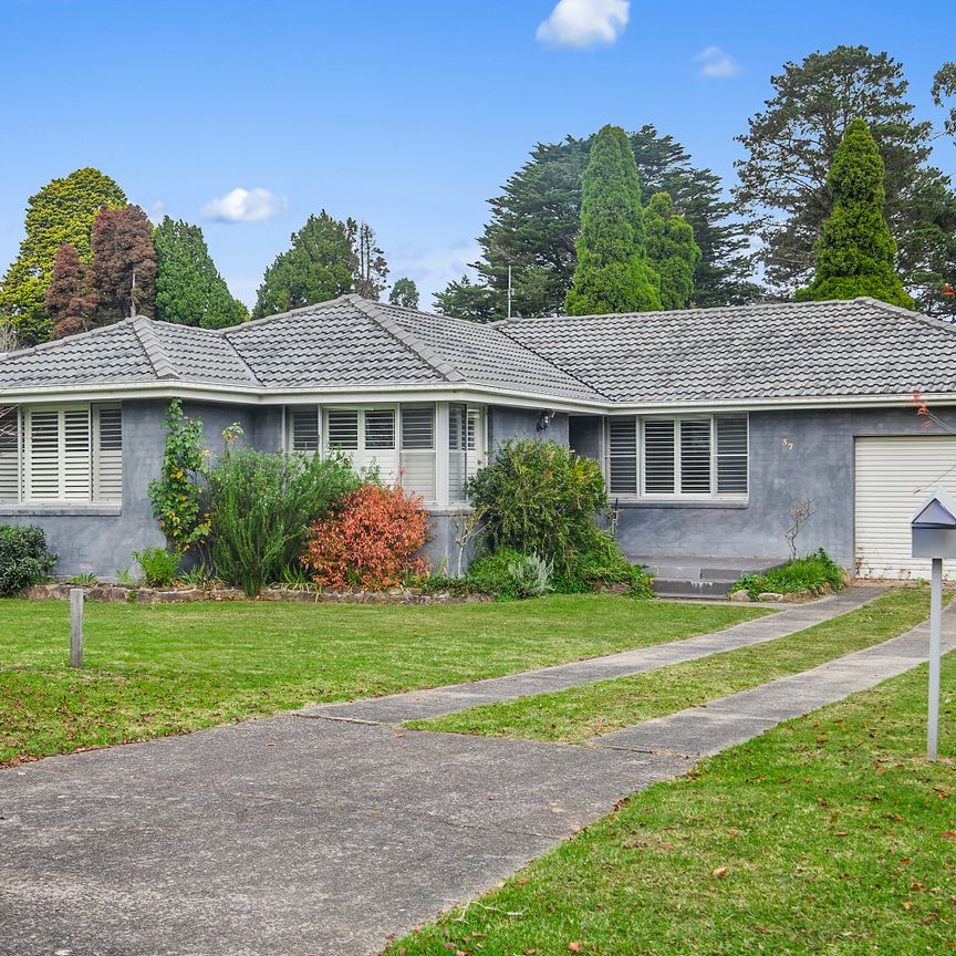 37 Retford Road, Bowral NSW 2576 - House For Rent | Domain - Photo 1