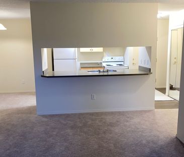 Condo in Glastonbury Neighbourhood - Photo 4