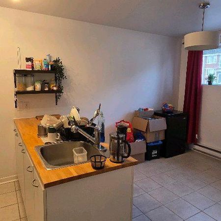 Appartement 4 1/2 à louer (animaux permis) - Photo 3