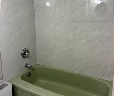 For Lease - 173 Chambers Avenue Unit# Lower, Toronto, Ontario - Photo 3
