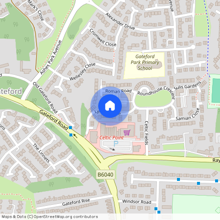 Lynchet Lane, Worksop