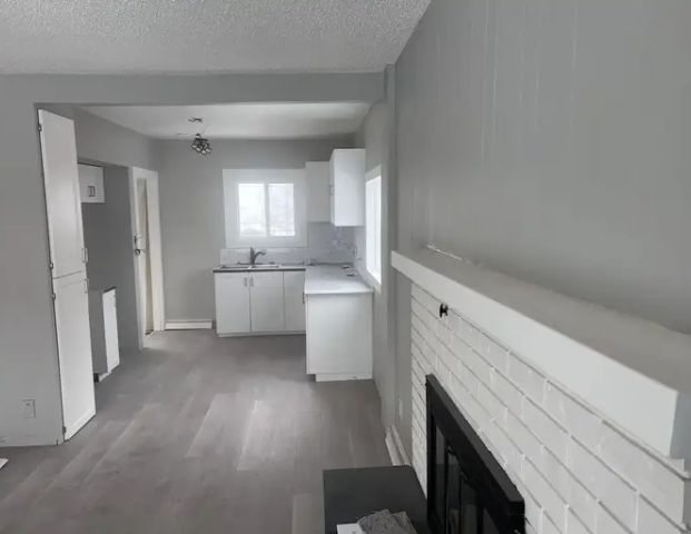 Newly renovated, clean 2 Bedroom up 1 bedroom basement house perfect inner city | 2517 14 Avenue Southeast, Calgary - Photo 1