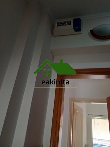 Διαμέρισμα για ενοικίαση Κερατσίνι - Photo 3