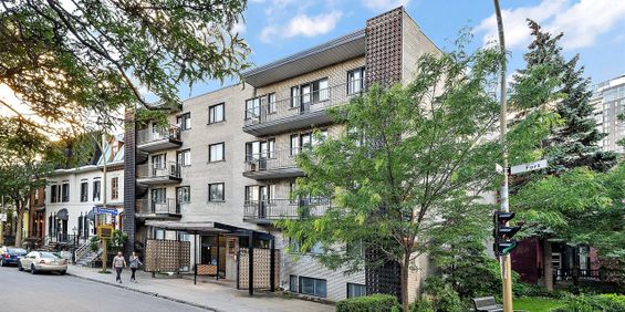 Studio - Basic - 1250 Rue Du Fort, Ville-Marie - Photo 3