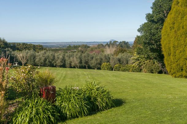 Sunny Haven - Katikati - Photo 1