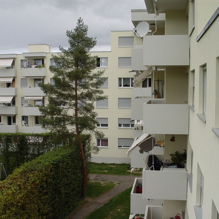 Ideale Familienwohnung in Pratteln - Photo 1