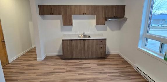 4 1/2 à louer — Louiseville — 1 225 $ / mois — disponible 1er juillet 2026 - Photo 2