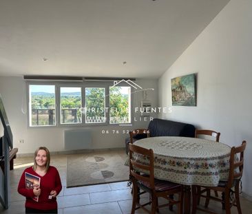 Location Appartement 2 pièces 38m² MEZE 34140 - Photo 1