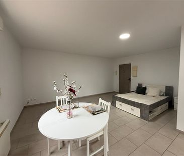 Location Appartement 1 pièce 38m² ST LOUIS 68300 - Photo 1