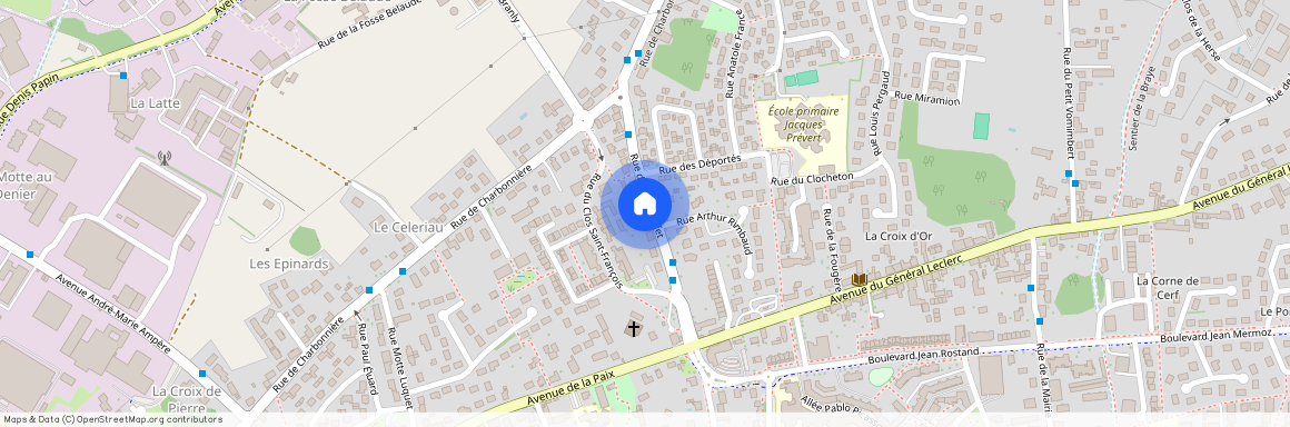 17 Rue du Coin Buffet, Saint-Jean-de-Braye France