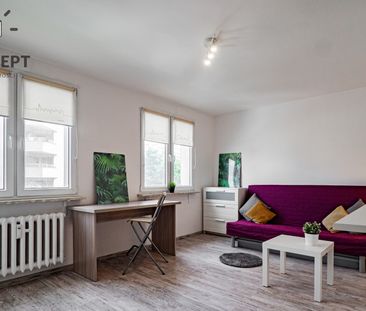 |Kawalerka| Szczepin| - Zdjęcie 2