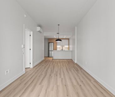 Collection Monarc (Infiniti) - Photo 1