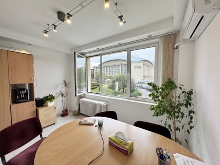 Spatiu ultracentral Sala Palatului pretabil Birouri-Cabinet - Fotografie 4