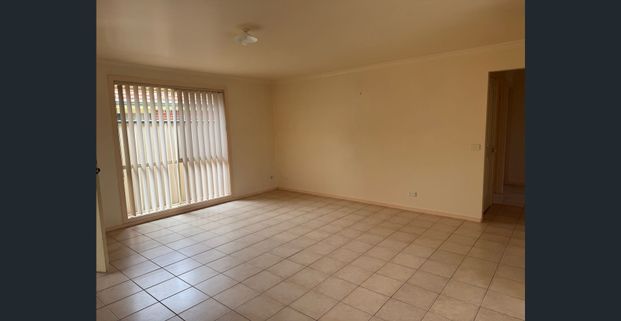 Surprisingly large & low maintenance! - Photo 1