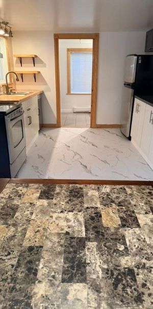 3 et demi a louer - Photo 1