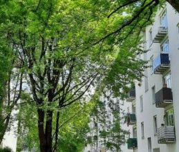 Großzügige 3-Zimmer-Wohnung mit Ess-Veranda in 4030 Linz | 88,61 m²... - Photo 2