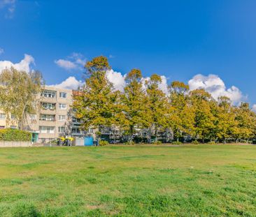 Moderne 4-Zimmer-Etagenwohnung mit neuem Bad in Braunschweig - Foto 6