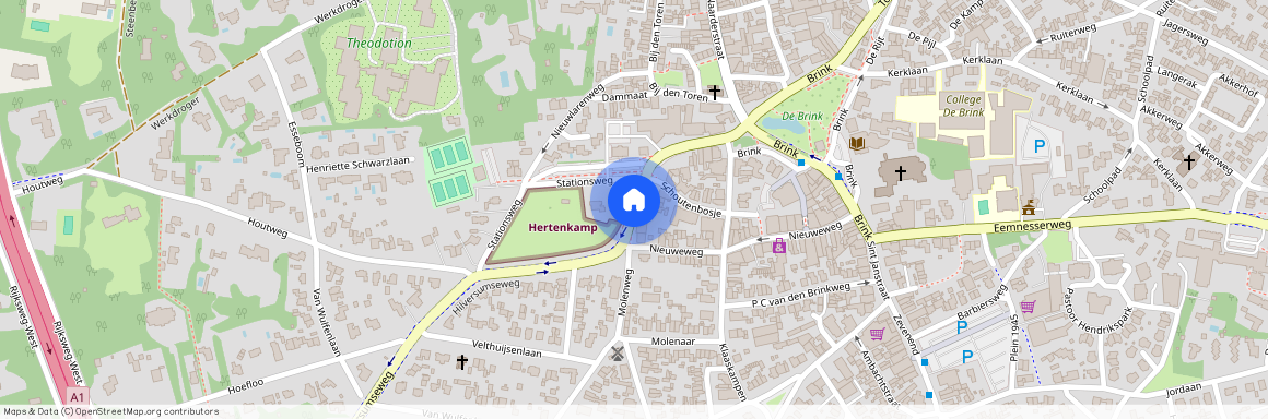 Laren-Centrum, 1251 KH, Burgemeester van Nispen van Sevenaerstraat, Laren