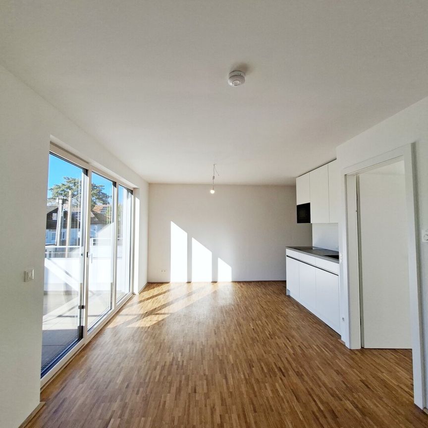 Ihr neues Zuhause zwischen Stadt und Alter Donau - Photo 1