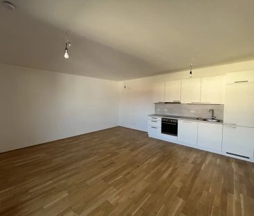 2-Zimmer-Wohnung mit großzügiger Terrasse - zentrale Lage - Foto 5