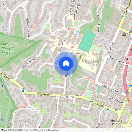 31 Devon Street, Aro Valley, Wellington City