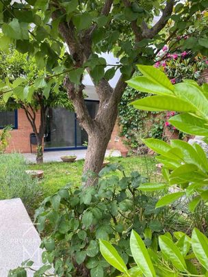Μεζονέτα για ενοικίαση Κηφισιά - Φωτογραφία 1