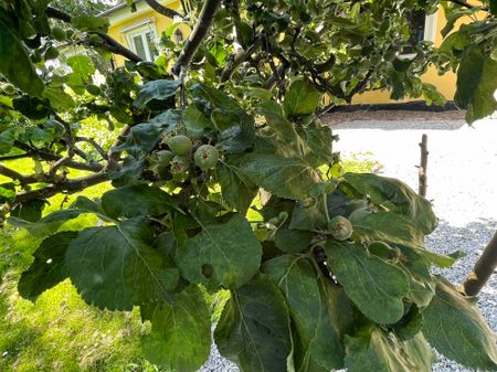 Hassleberga, Lund - Photo 2