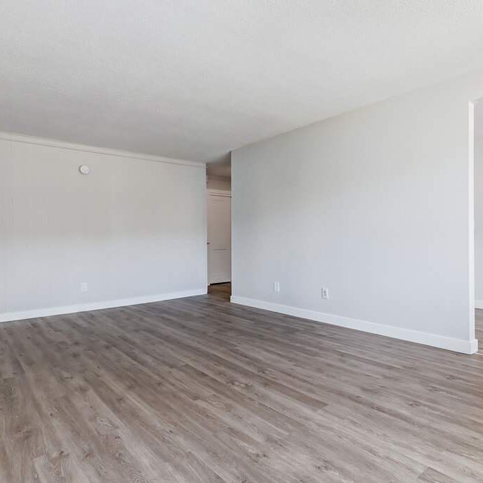 Premier Suite - 1 Bedroom - Photo 1
