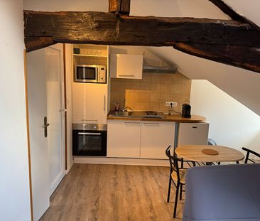 Location Appartement 1 pièce 18m² - Photo 3