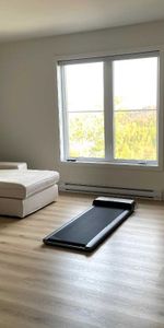 4 et demi quasi neuf à louer à Sainte-Agathe-des-Monts - Photo 3