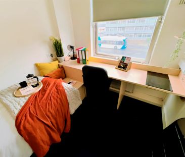 Classic Studio - Photo 4