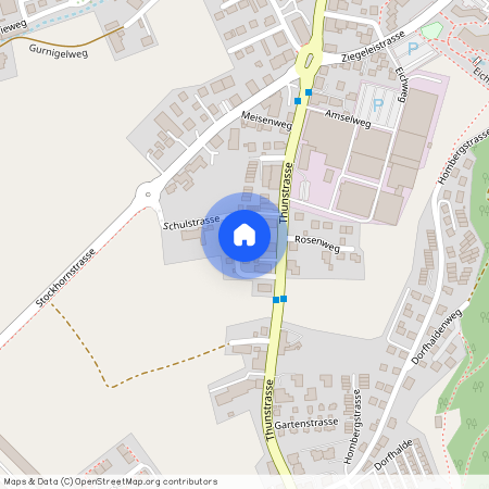 Thunstrasse 22, 3612 Steffisburg