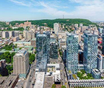 Appartement à louer - Montréal (Ville-Marie) (Centre) Appartement à... - Photo 5