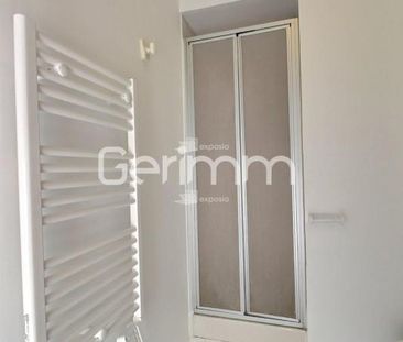 Location Appartement 1 pièce 16m² GRENOBLE 38000 - Photo 2