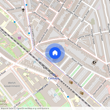 Cogan Terrace, CF24 4AX, Cathays